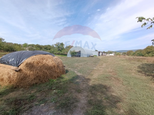 60.000 EUR