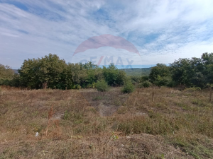 60.000 EUR