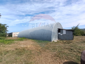 60.000 EUR