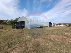 60.000 EUR