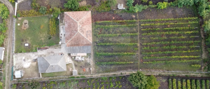 55.000 EUR