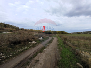 11.500 EUR